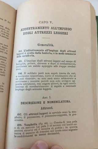 Regolamento per l'addestramento individuale