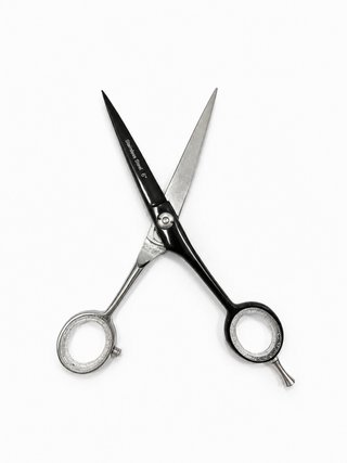 Forbici per capelli in acciaio inox