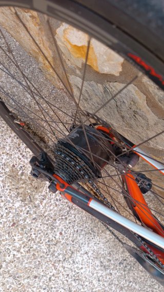 Bicicleta de carretera Wilier Triestina naranja