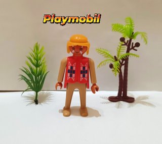 Lote Playmobil