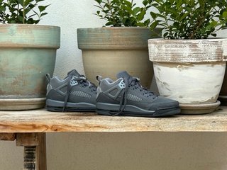 Nike Jordan Spizike Low GS Grises