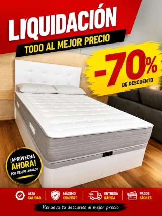 Liquidación Canapé y Colchón