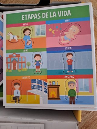Puzzle Montessori Así Estamos Hechos