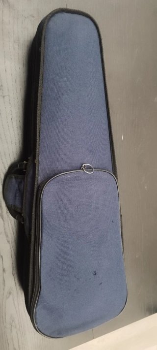 Viola 12 para niños