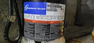 Compresor Copeland Scroll para Placa Termodinámica