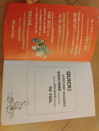 Boy Tales of Childhood