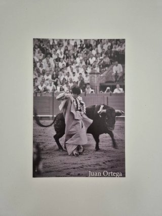 Conjunto láminas taurinas Juan Ortega