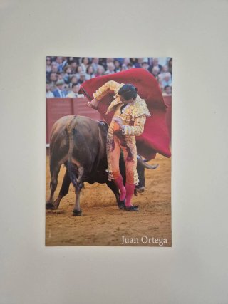 Conjunto láminas taurinas Juan Ortega