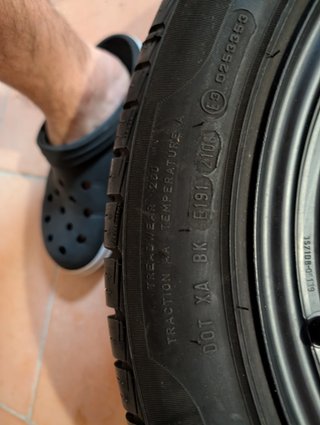 Ruotino scorta Ford Focus 205/55 R16