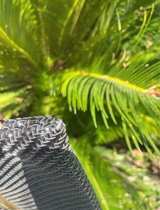 Bolso de mano BIMBA Y LOLA negro