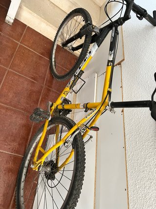 Bicicleta Orbea Montaña