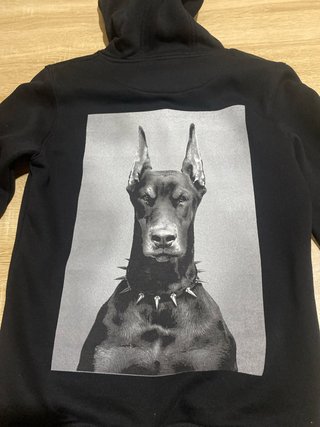 Felpa Mister Tee Cane