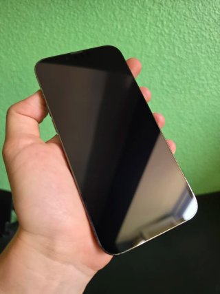 iPhone 13 Pro Max 256GB  Impecable+Factura