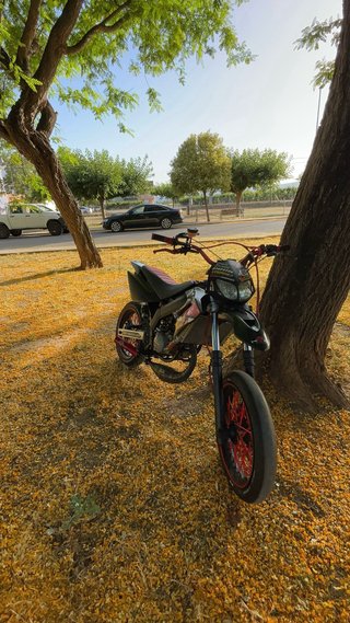 Derbi Senda DRD Racing Limited Edition