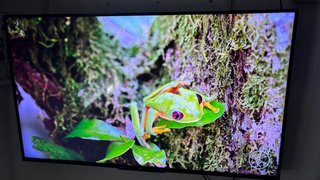 Xiaomi TV 55 4K Full HD
