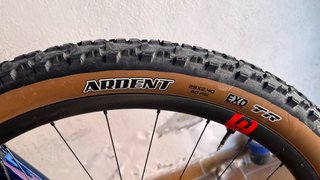 BH LYNX RACE EVO