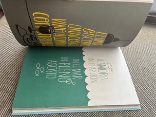 Libro mr. Wonderful
