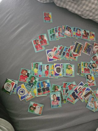 Cromos Panini Mundial Cambio o vendo