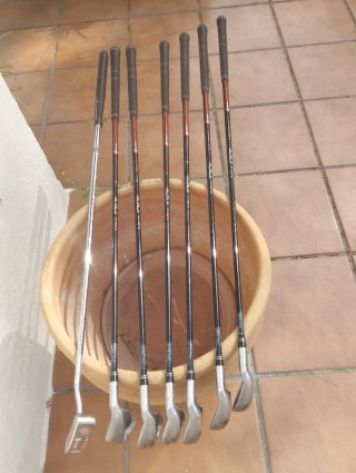 Set de Palos de Golf