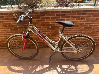 Bicicleta GlobeTrekker