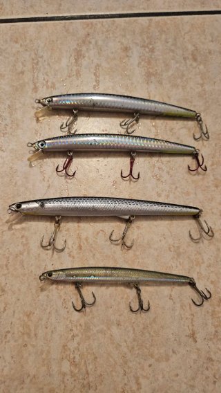 minnow lucky craft y mammoti