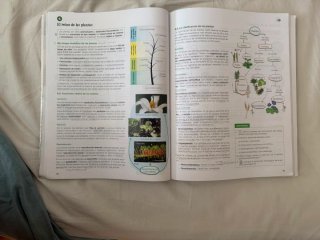 Biología, Geología y Ciencias Ambientales 1 Bac...