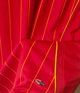 Camiseta España Torres 9 Mundial 2006