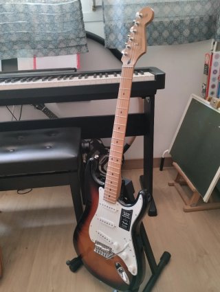 Fender Stratocaster Edición Limitada