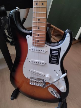 Fender Stratocaster Edición Limitada
