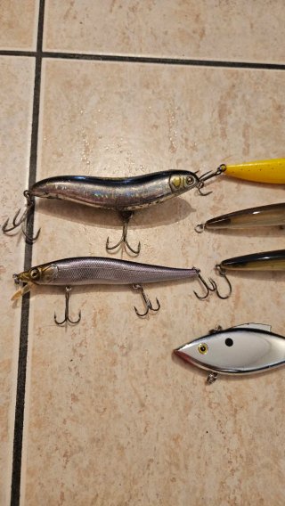 Paseantes, minows, jerkbaits, rattlin