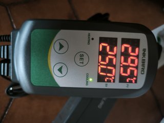 Termoregolatore INKBIRD ITC-308