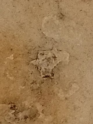 Piedra Silueta Goma Milan - Sierra Morena 32g.