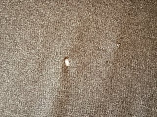 Sofá Cama IKEA ÄLVDALEN Gris Oscuro