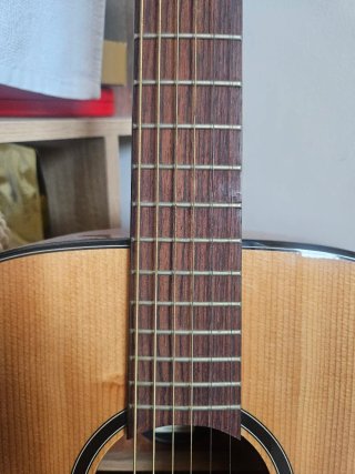 Guitarra Tramontane T80D