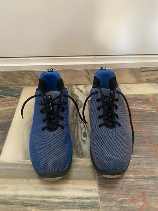 Zapatos de seguridad Panter