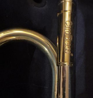 Trompeta Carol Brass Dorada