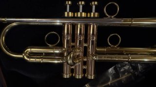 Trompeta Carol Brass Dorada