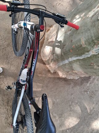Orbea Occam 29