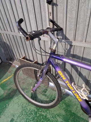 Bicicleta BH Top Line Montaña