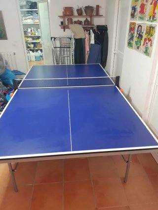 Mesa de ping pong azul