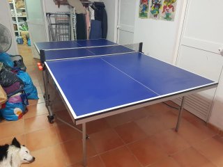 Mesa de ping pong azul