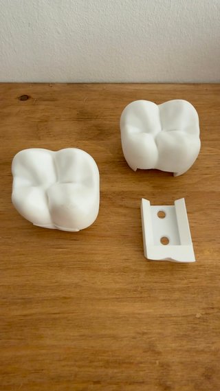 Colgante Molar Dentista Original
