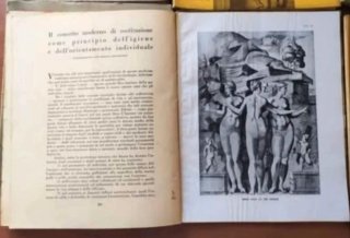 Lotto fascicoli rivista Homo