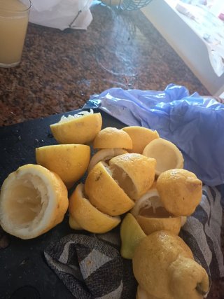 Arbol limonero