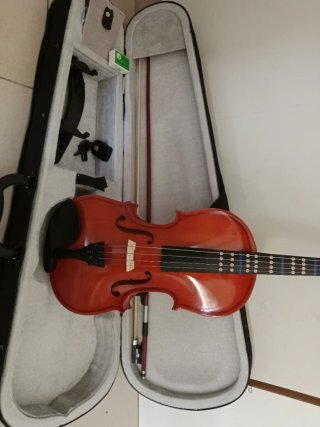 Violín 4/4 con estuche y arco