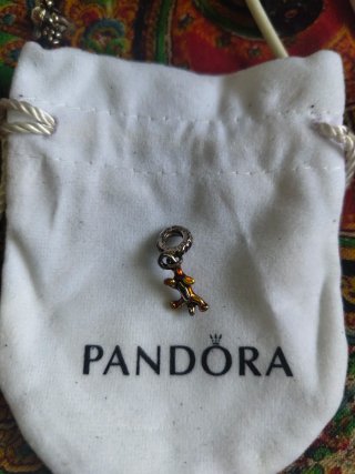 Charm Disney Tigre