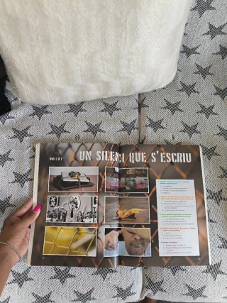 Trellat Valencià, llengua i literatura, 2n batx...