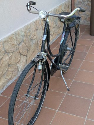 Bicicleta Paseo Holandesa