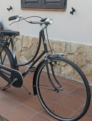 Bicicleta Paseo Holandesa