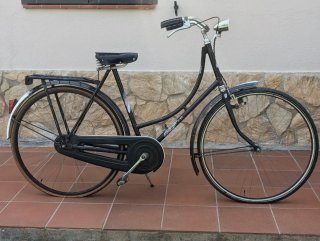 Bicicleta Paseo Holandesa